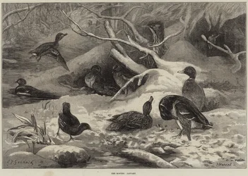 De Maanden, Januari